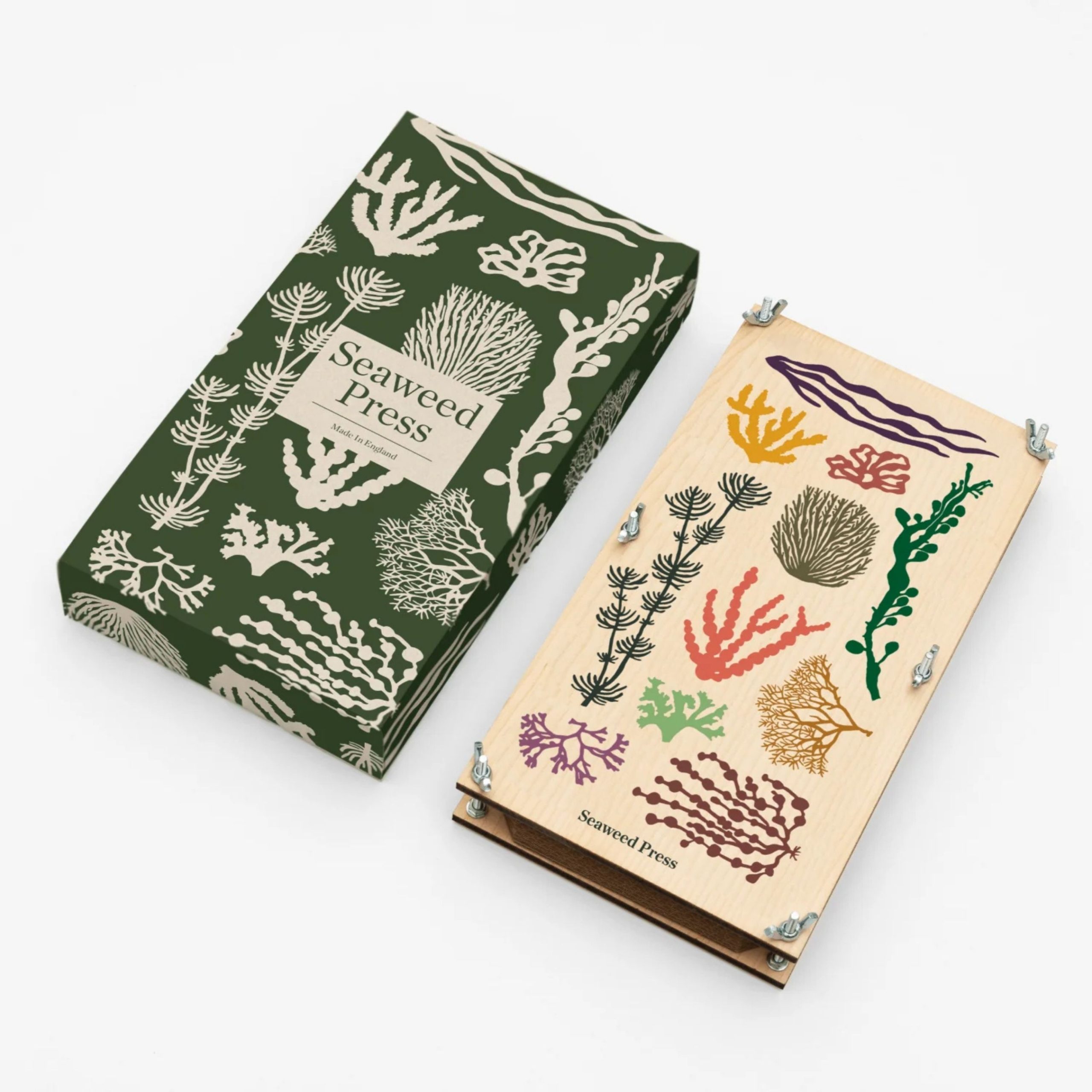Seaweed Packaging Boxes: Innovations in Sustainable Packaging