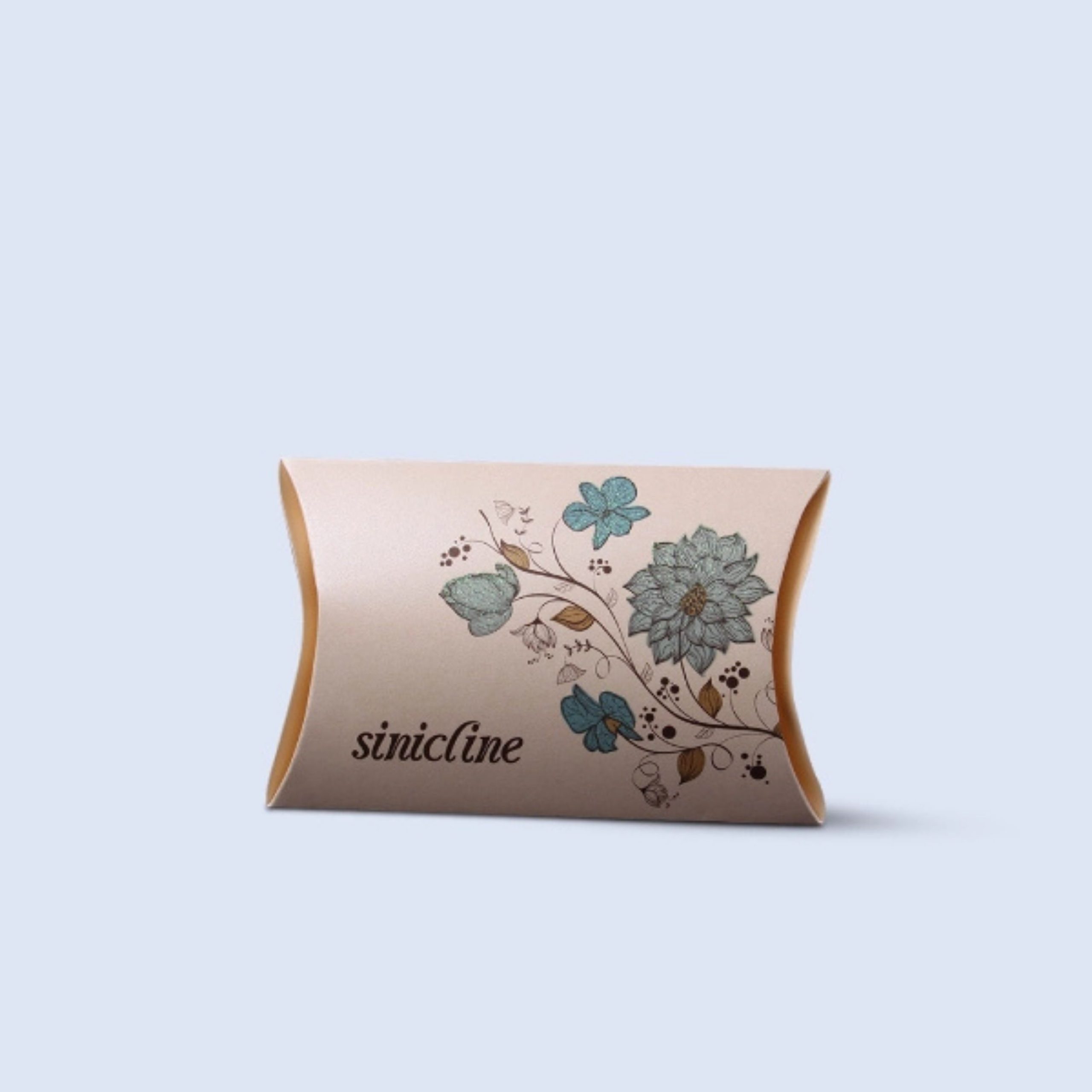 Comprehensive Guide to Kraft Pillow Packaging Boxes