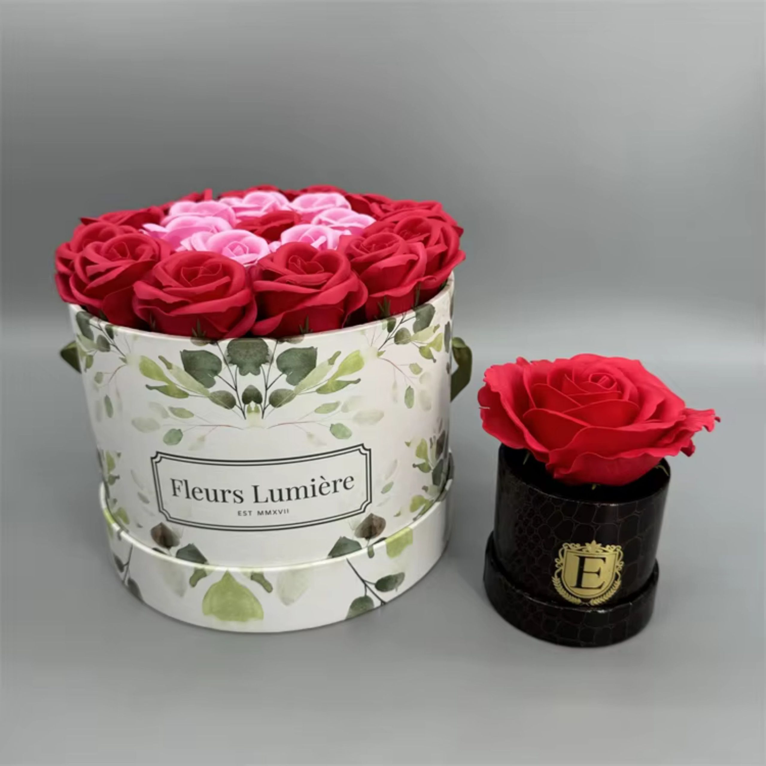 Comprehensive Guide to Plant Packaging Boxes for Safe, Secure Shipping